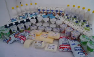 Молочный поток в Бурабае: новые горизонты для экономики и местных жителей