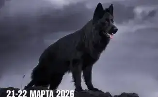 В кадре и в жизни: в Караганде объединят фотоэкспозицию и выставку собак