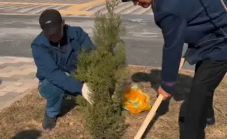 Деревья для будущего в Кызылординской области