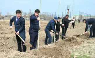 В Жетысайском районе высажено 5 тысяч саженцев в рамках декады "Наурызнама"