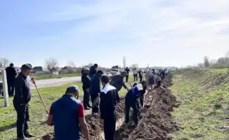 В Жетысайском районе 500 человек объединились для очистки канала К-30 и посадки 2000 деревьев