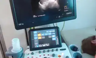 Здоровье на выборах: бесплатные проверки для всех!