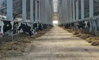 Льготное кредитование под 6%: новые перспективы для развития животноводства в Казахстане