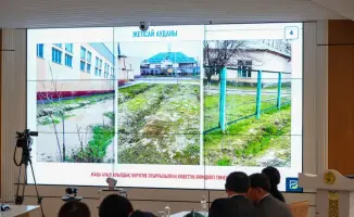 Лесная симфония Туркестанской области: 1 миллион саженцев в 2026 году