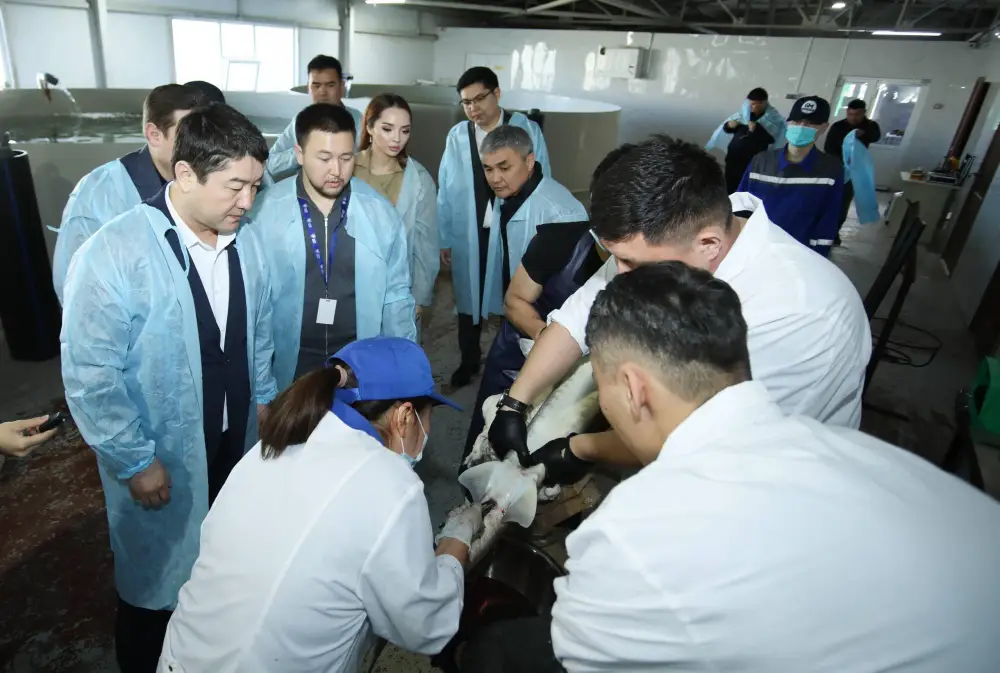 В Мангистау реализуется стратегический инновационный проект по развитию рыбного хозяйства (5)