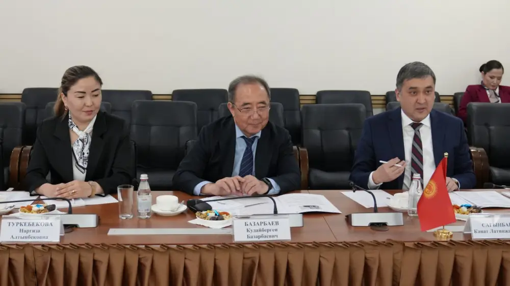 Казахстан и Кыргызстан укрепляют сотрудничество в социально-трудовой сфере и обмениваются цифровым опытом (2)