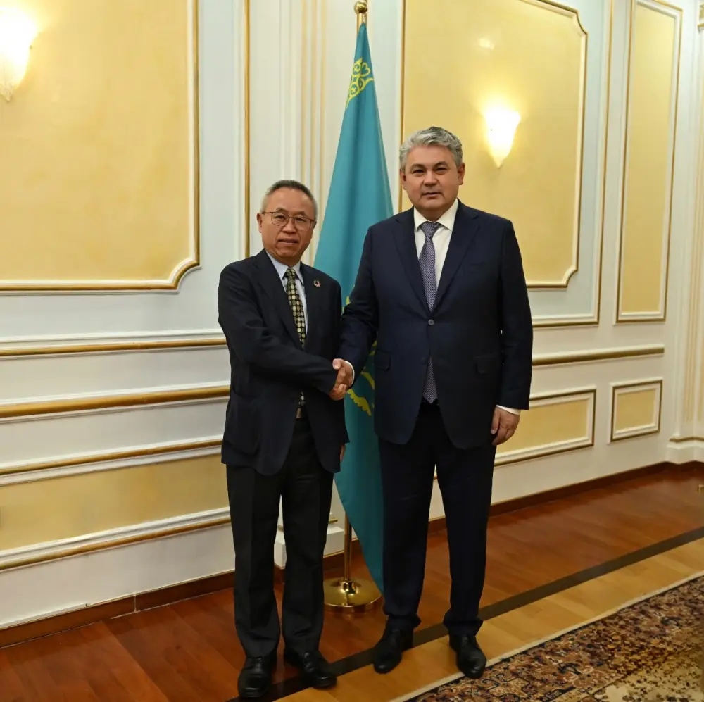 Казахстан укрепляет сотрудничество с ООН по достижению целей устойчивого развития (4)