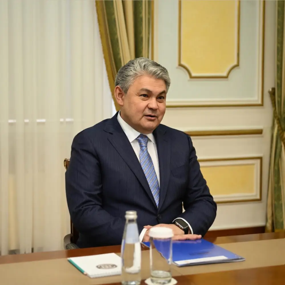 Казахстан и ПРООН обсудили вопросы дальнейшего взаимодействия (2)