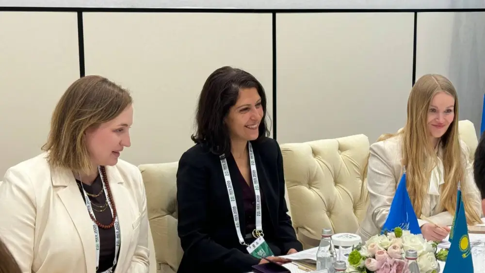 Казахстан расширяет сотрудничество с ЮНИДО (2)