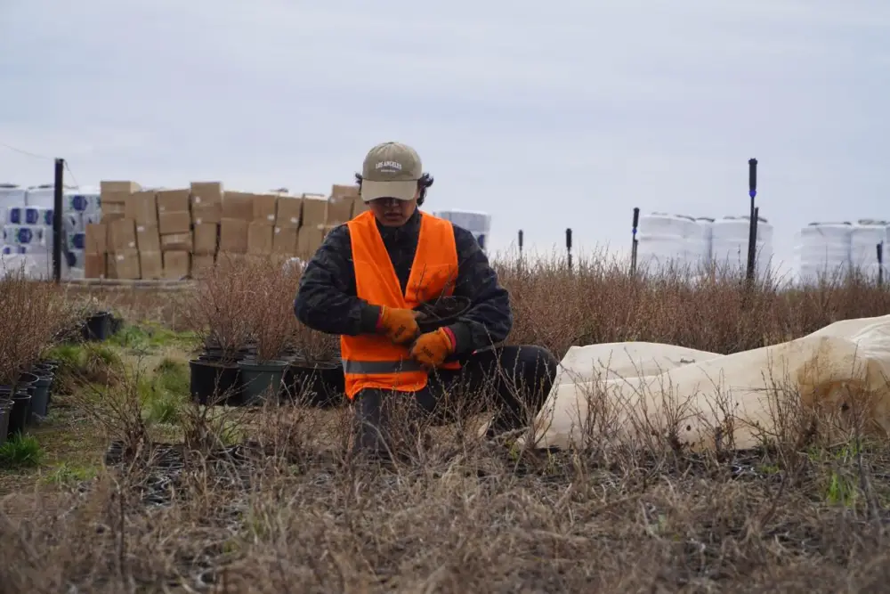 Аким Акмолинской области посетил лесопитомник в Шортандинском районе (2)