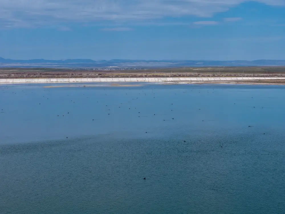 В ТУРКЕСТАНЕ БУДЕТ РАЗВИВАТЬ АКВАТУРИЗМ И СОЗДАДУТ СОВРЕМЕННЫЙ РЫБОХОЗЯЙСТВЕННЫЙ КЛАСТЕР (3)