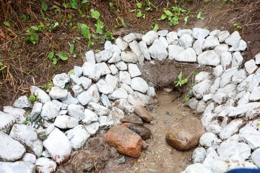 Ербол Карашукеев принял участие в акции «Мөлдір бұлақ» (6)