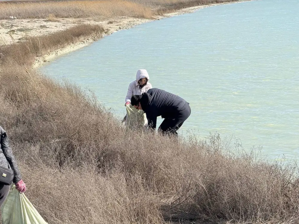 В Мангистауской области прошёл масштабный субботник с участием около 8000 человек (10)