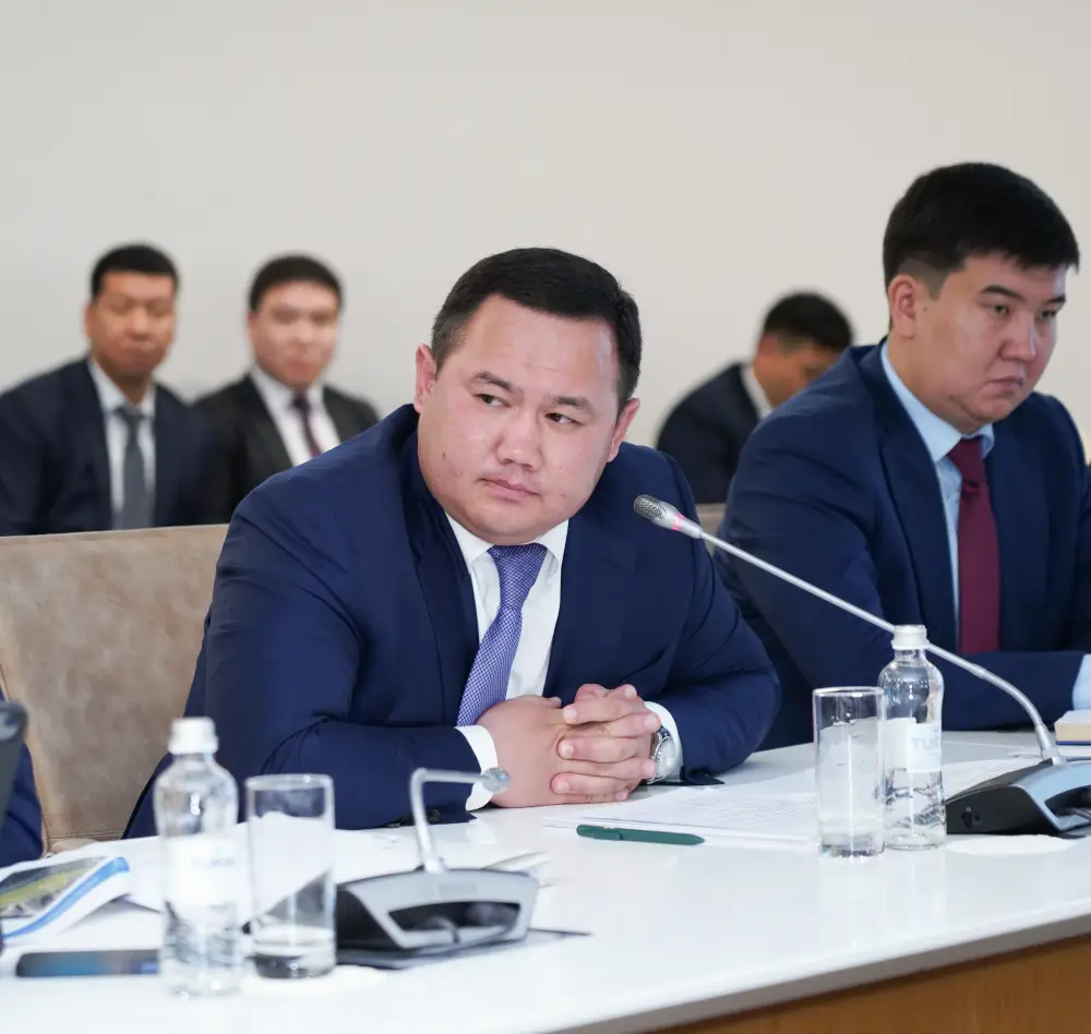 В ИНДУСТРИАЛЬНЫХ ЗОНАХ ТУРКЕСТАНСКОЙ ОБЛАСТИ РЕАЛИЗУЕТСЯ 98 ИНВЕСТИЦИОННЫХ ПРОЕКТОВ НА СУММУ БОЛЕЕ 132 МЛРД ТЕНГЕ (3)