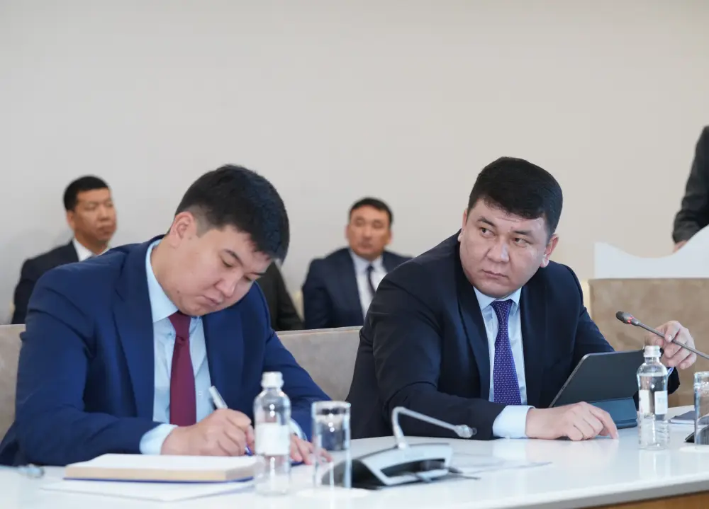 В ИНДУСТРИАЛЬНЫХ ЗОНАХ ТУРКЕСТАНСКОЙ ОБЛАСТИ РЕАЛИЗУЕТСЯ 98 ИНВЕСТИЦИОННЫХ ПРОЕКТОВ НА СУММУ БОЛЕЕ 132 МЛРД ТЕНГЕ (5)