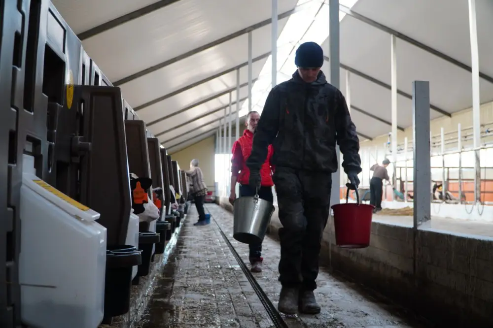 В Акмолинской области запустили современную молочную ферму на 400 голов (5)