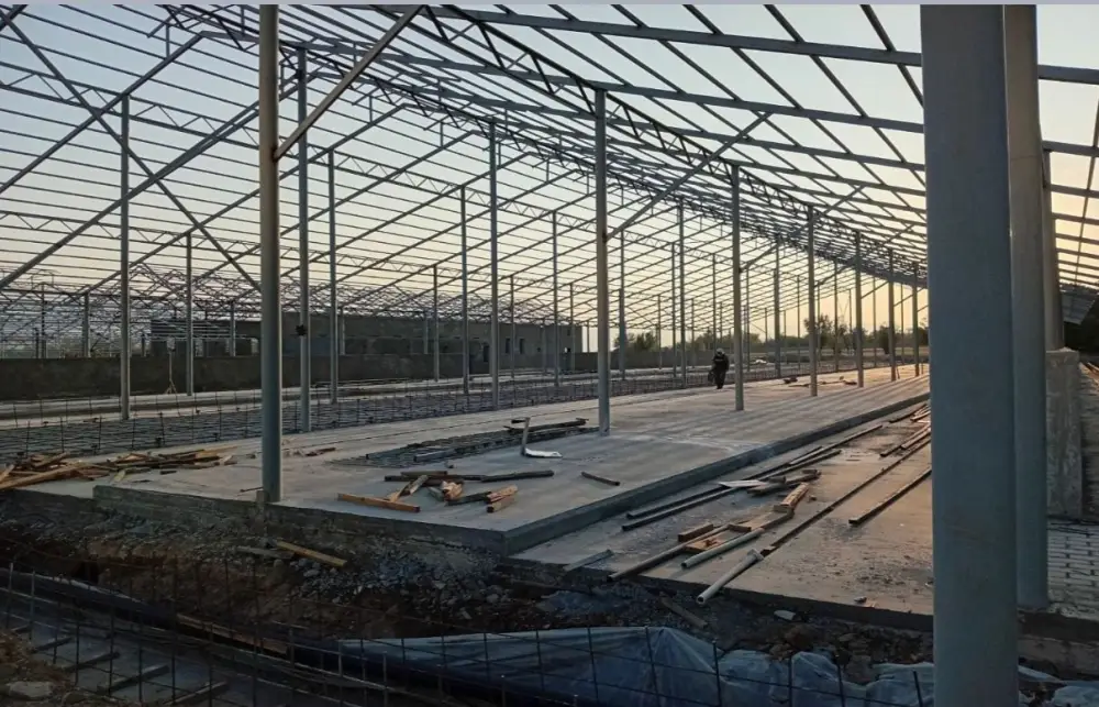 ТУРКЕСТАН: РАССМОТРЕН ХОД РЕАЛИЗАЦИИ НОВЫХ ИНВЕСТИЦИОННЫХ ПРОЕКТОВ (2)