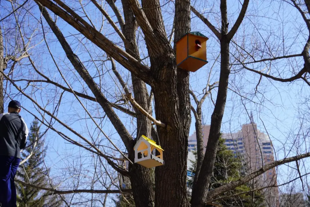 В Астане прошла городская экологическая акция «Птицы - наши ДрузьЯ» (5)