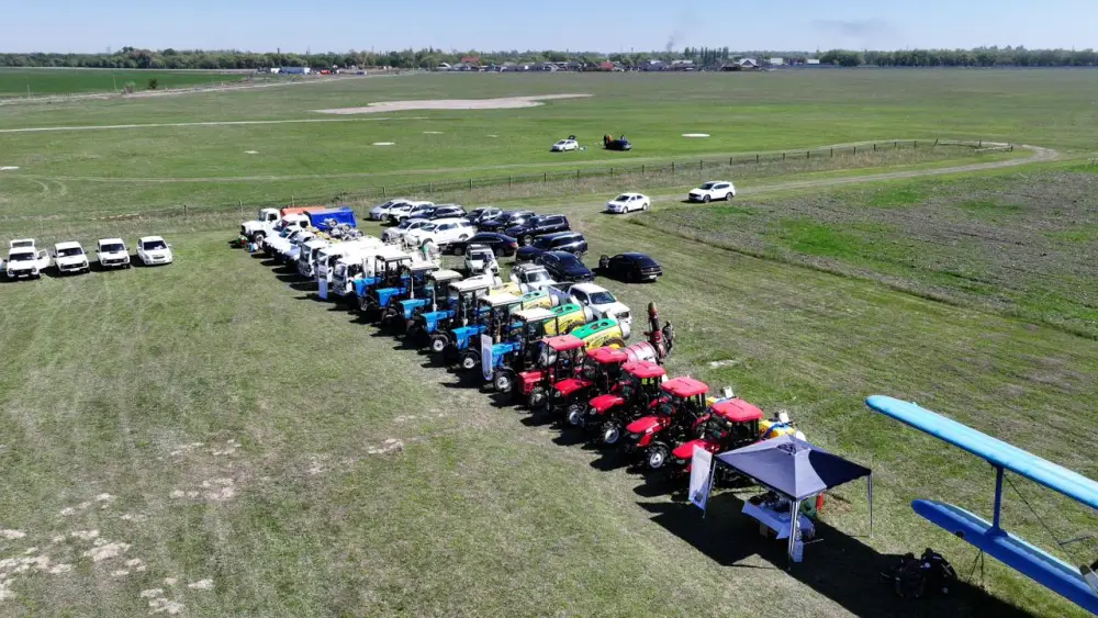 В области начата подготовка к борьбе с саранчой (2)