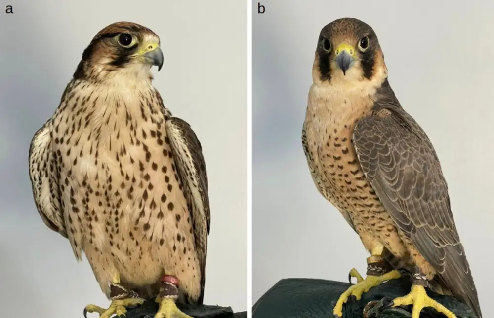 Казахстанские ученые внесли вклад в международный геномный проект (5)