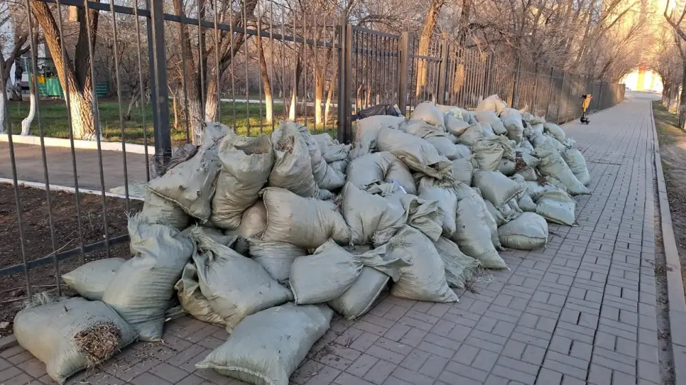 Масштабный экологический месячник продолжается в Астане (2)