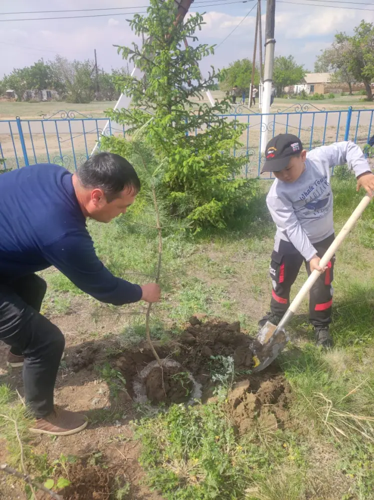 В Павлодарской области прошла экологическая акция «Таза аула» (4)