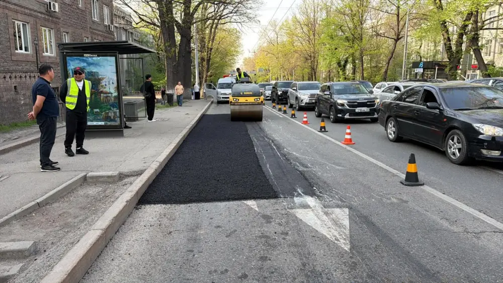 В Алматы текущим ремонтом охвачено более 22 тыс. м2 дорожного полотна (3)