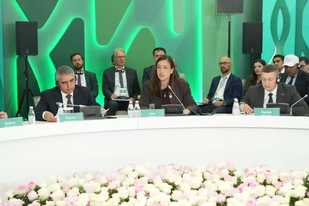 Казахстанские и иностранные эксперты начали консультации по созданию Международной организации по воде под эгидой ООН (5)