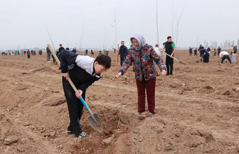 Таза Қазақстан: в Таразе высажено 10 тысяч деревьев (6)