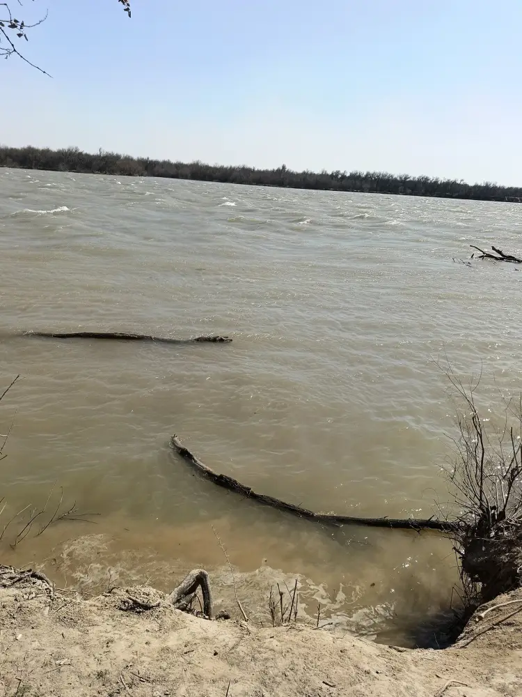 В ТУРКЕСТАНСКОЙ ОБЛАСТИ УСИЛЕН НАУЧНЫЙ МОНИТОРИНГ ПО БОРЬБЕ С КОМАРАМИ (3)