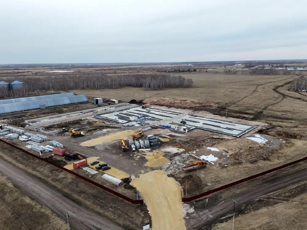 9000 голов элитного КРС завезли в Северо-Казахстанскую область за три года (2)