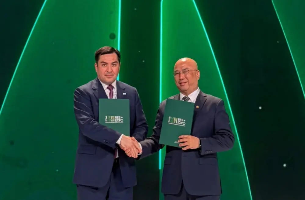 Казахстан и Китай запустят ветропарк на 500 МВт в Карагандинской области (2)