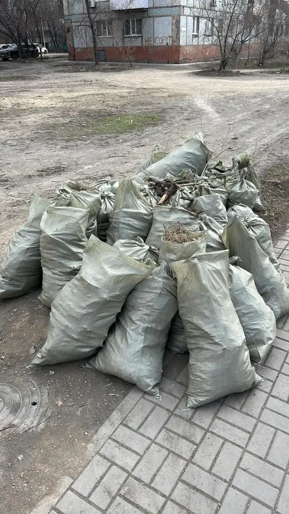 «Таза өлке – таза жер»: в области Ұлытау прошла масштабная экологическая акция (4)