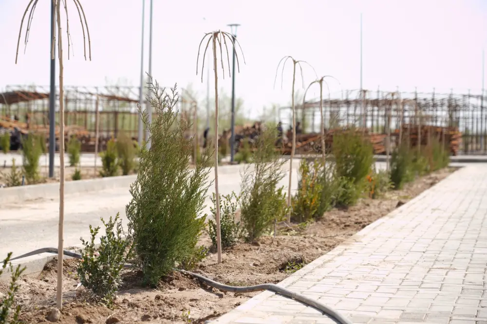 В ТУРКЕСТАНЕ БУДЕТ РАЗВИВАТЬ АКВАТУРИЗМ И СОЗДАДУТ СОВРЕМЕННЫЙ РЫБОХОЗЯЙСТВЕННЫЙ КЛАСТЕР (8)