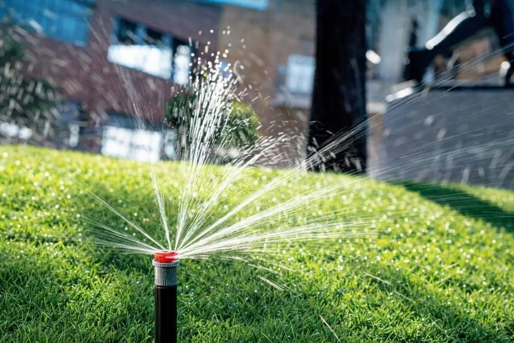 В Медеуском районе Алматы увеличивают объемы озеленения и развивают систему автополива (2)