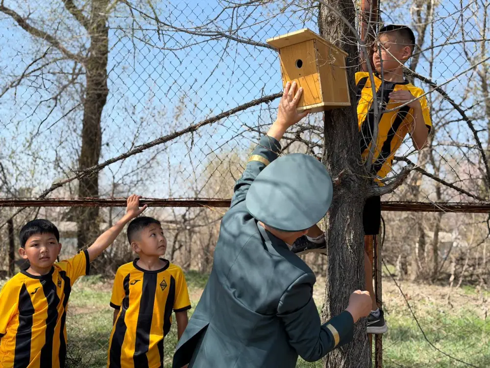 1 апрель - Международный день птиц (2)