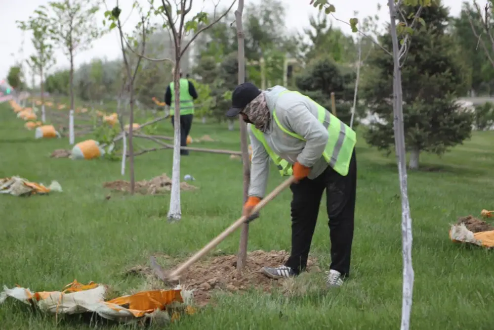 В ТУРКЕСТАНЕ СИСТЕМНО ВЕДУТСЯ РАБОТЫ ПО БЛАГОУСТРОЙСТВУ И ОЗЕЛЕНЕНИЮ (2)