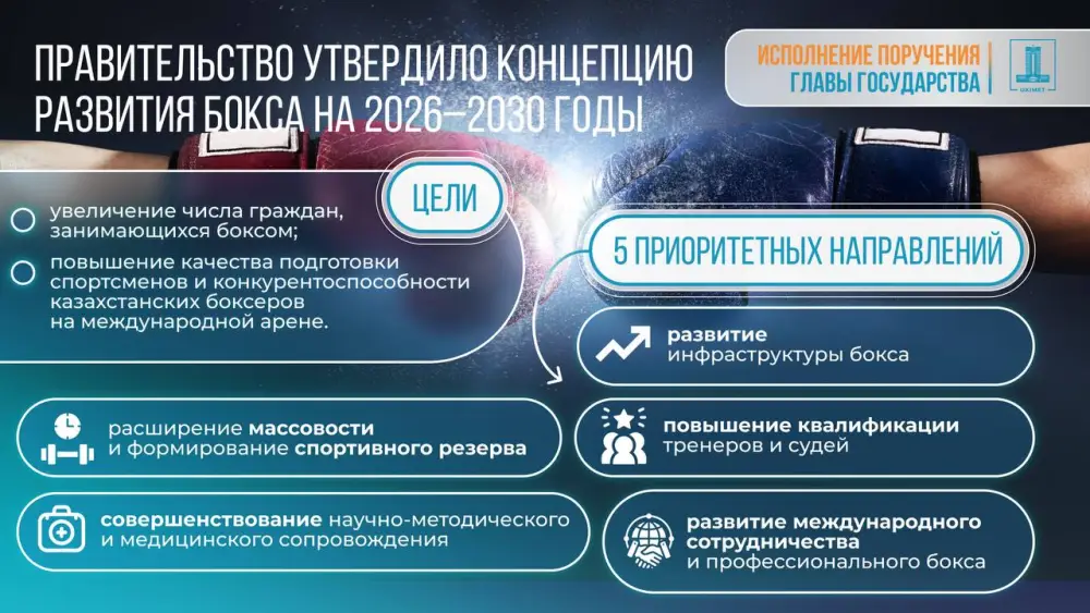 Правительство утвердило Концепцию развития бокса на 2026–2030 годы (3)