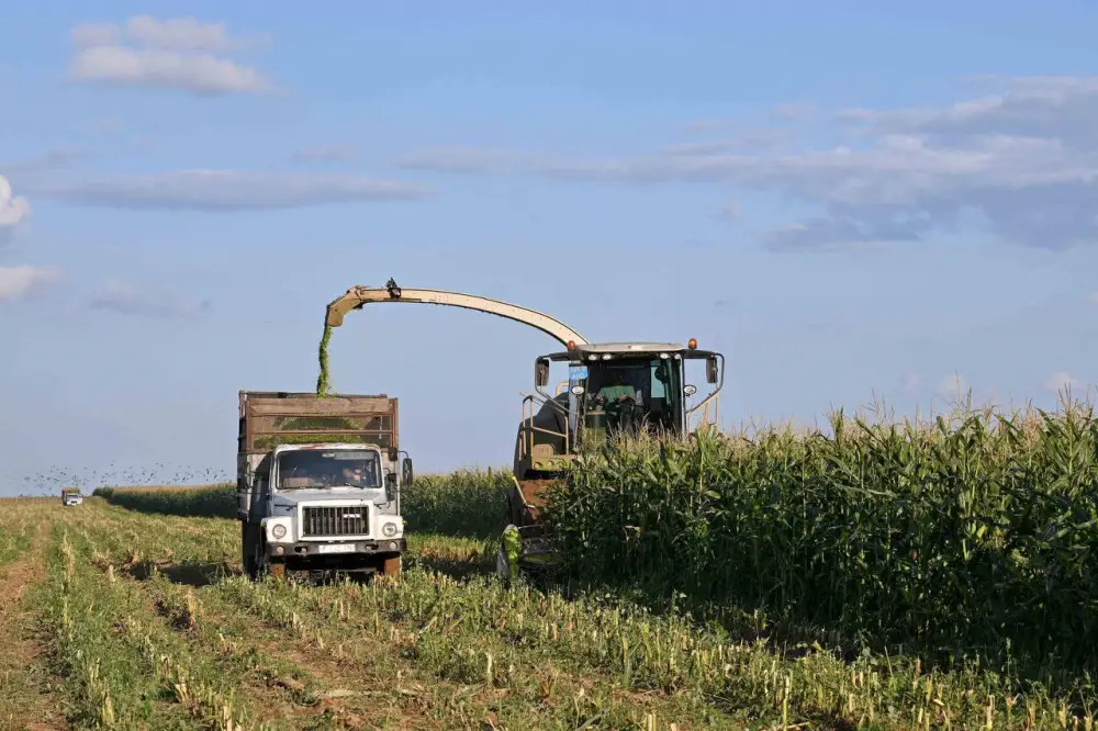 В области Абай начались весенние полевые работы (3)
