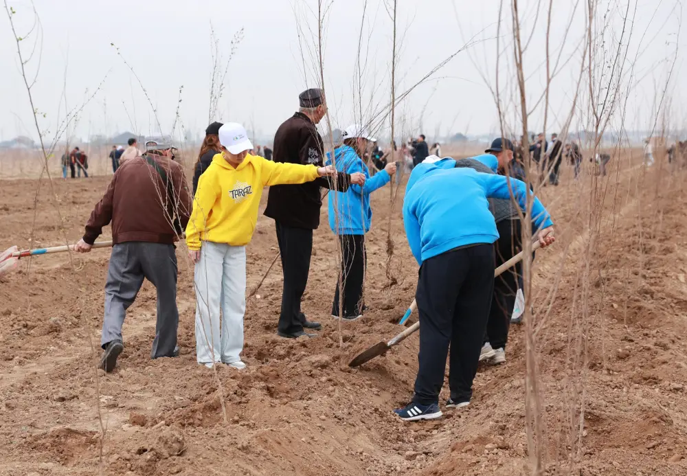 Таза Қазақстан: в Таразе высажено 10 тысяч деревьев (2)
