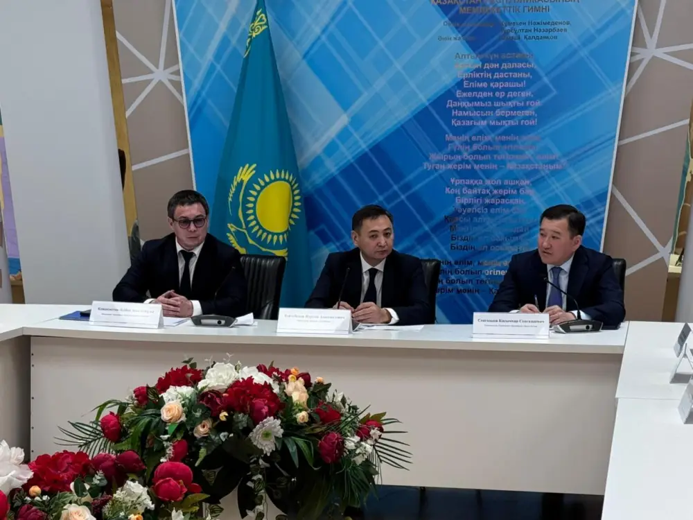 «Закон и порядок»: вопросы защиты прав детей обсудили за круглым столом в Астане (7)