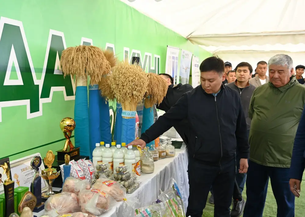 Первые семена были посеяны на полях Кызылординской области (2)