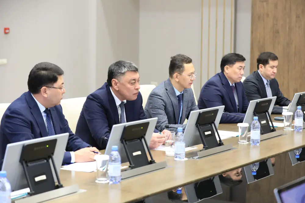 Аким региона обсудил с сенаторами развитие экономики и бюджетный потенциал (8)