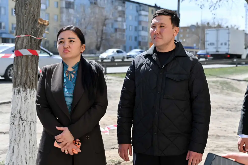 В этом году в Семее фасады около 30 жилых домов будут обновлены в едином стиле (5)