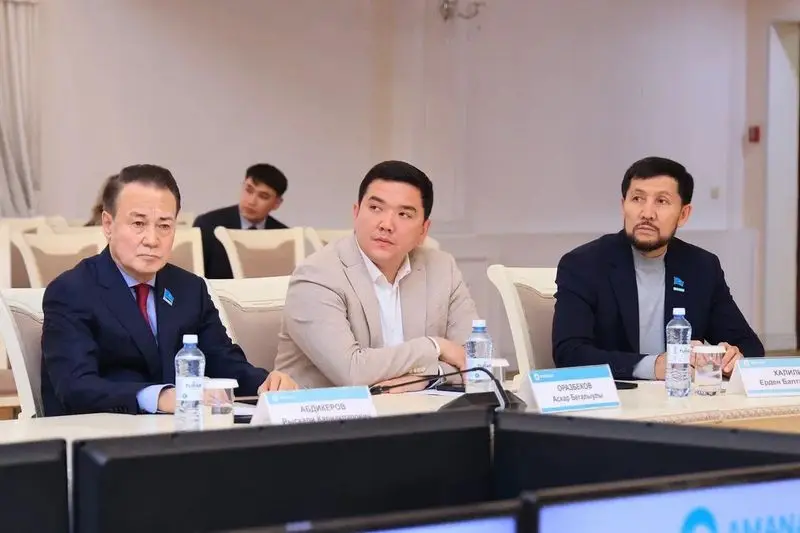 Новые проекты и рабочие места: как в Карагандинской области реализуется предвыборная программа партии Amanat (2)