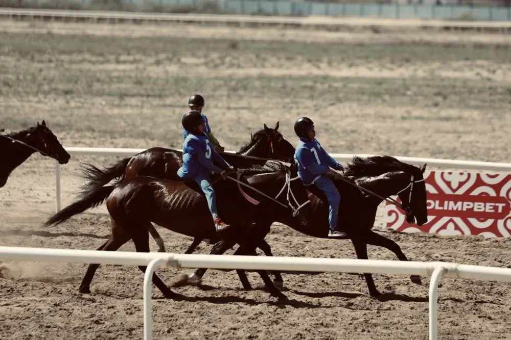 Чемпионат Казахстана по конным скачкам проходит в Кызылординской области (7)
