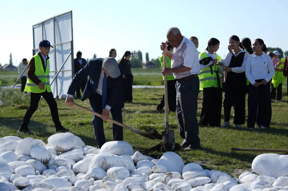 Жители села Жетибай Жамбылской области вышли на очистку близлежащих родников в рамках экологической акции «Мөлдір бұлақ» (4)
