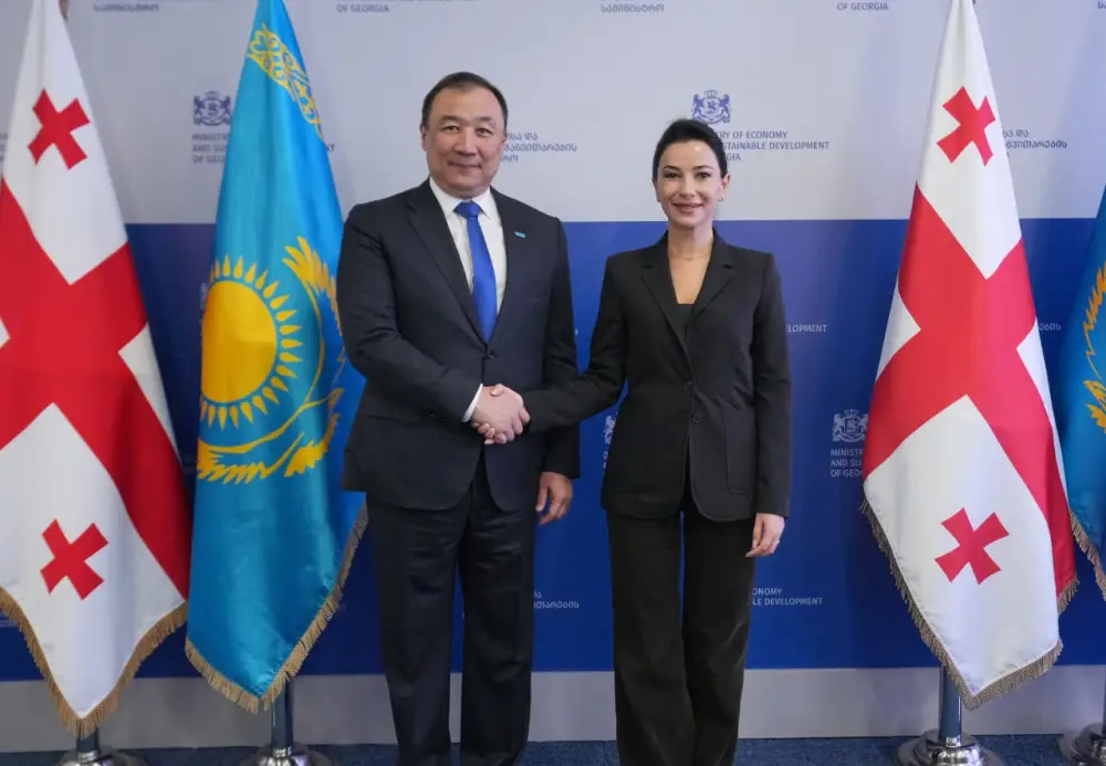 Обсуждены вопросы развития транспортно-логистического сотрудничества между Казахстаном и Грузией (2)