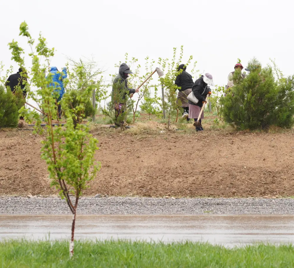 В ТУРКЕСТАНЕ ОБСУДИЛИ ХОД СОЗДАНИЯ ЭКОПАРКА (4)