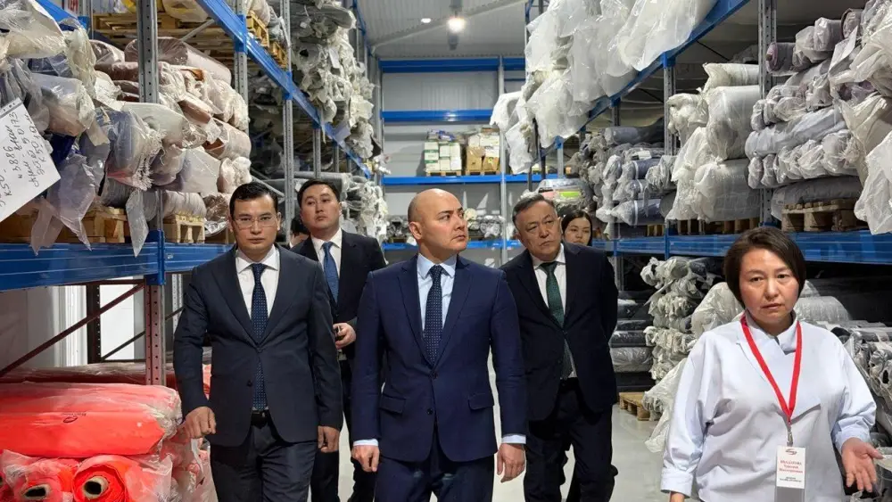 В Улытауской области обсудили привлечение инвестиций и развитие промышленности (4)